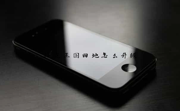 洛克王国田地怎么升级